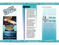 Sample standing pamphlet about shark finning. environment_student_sharkfinning