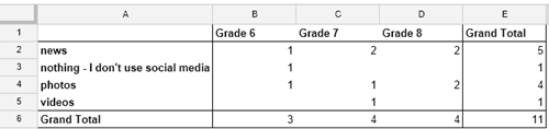 pivot table