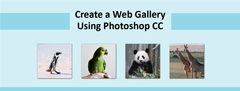 photoshop web gallery