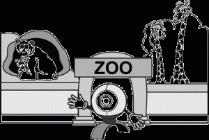 zoo webcam