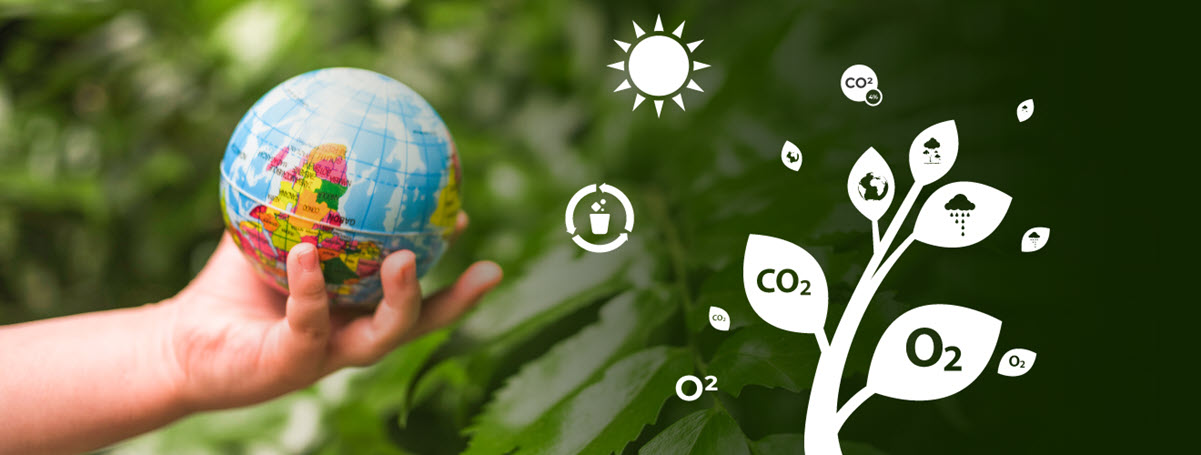 Power of Infographics: Unique Environmental Lessons for Kids ...